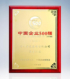 2013걻Ϊйҵ500ǿ